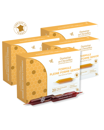 Formule Pleine Forme Senior | Domaine de Chezelles Formule Pleine Forme Senior | Domaine de Chezelles