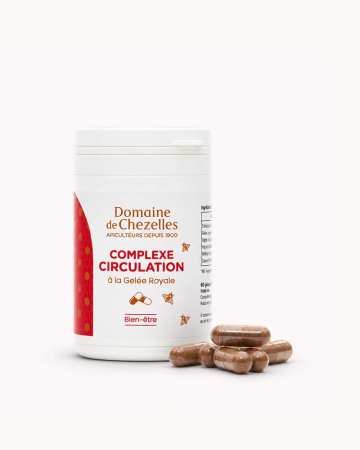 Complexe Circulation | Domaine de Chezelles