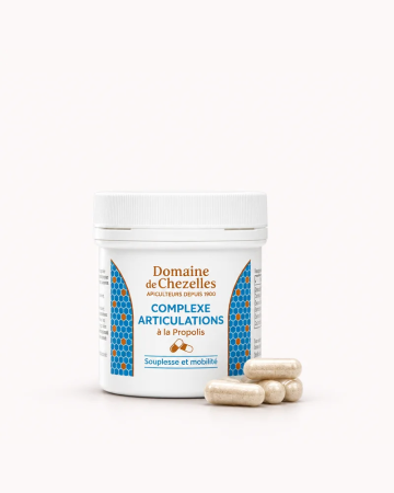 Complexe Articulation | Domaine de Chezelles