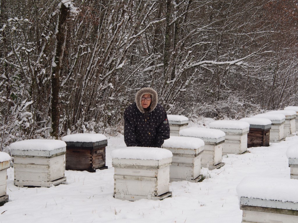 Paulette avec ses ruches en hiver