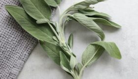 Domaine Apicole de Chezelles