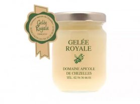 Qu'est-ce que la Gelée Royale ? Origine, Bienfaits et Posologie