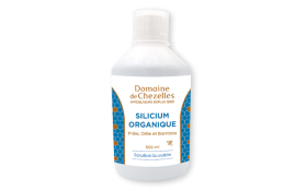 Silicium Organique 