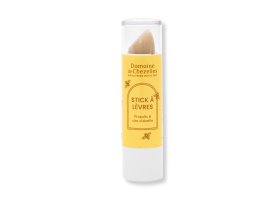 Stick à lèvres
