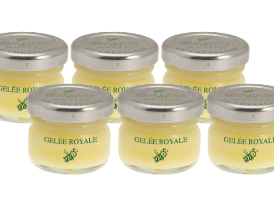 Les 6 pots de 20 g de gelée royale